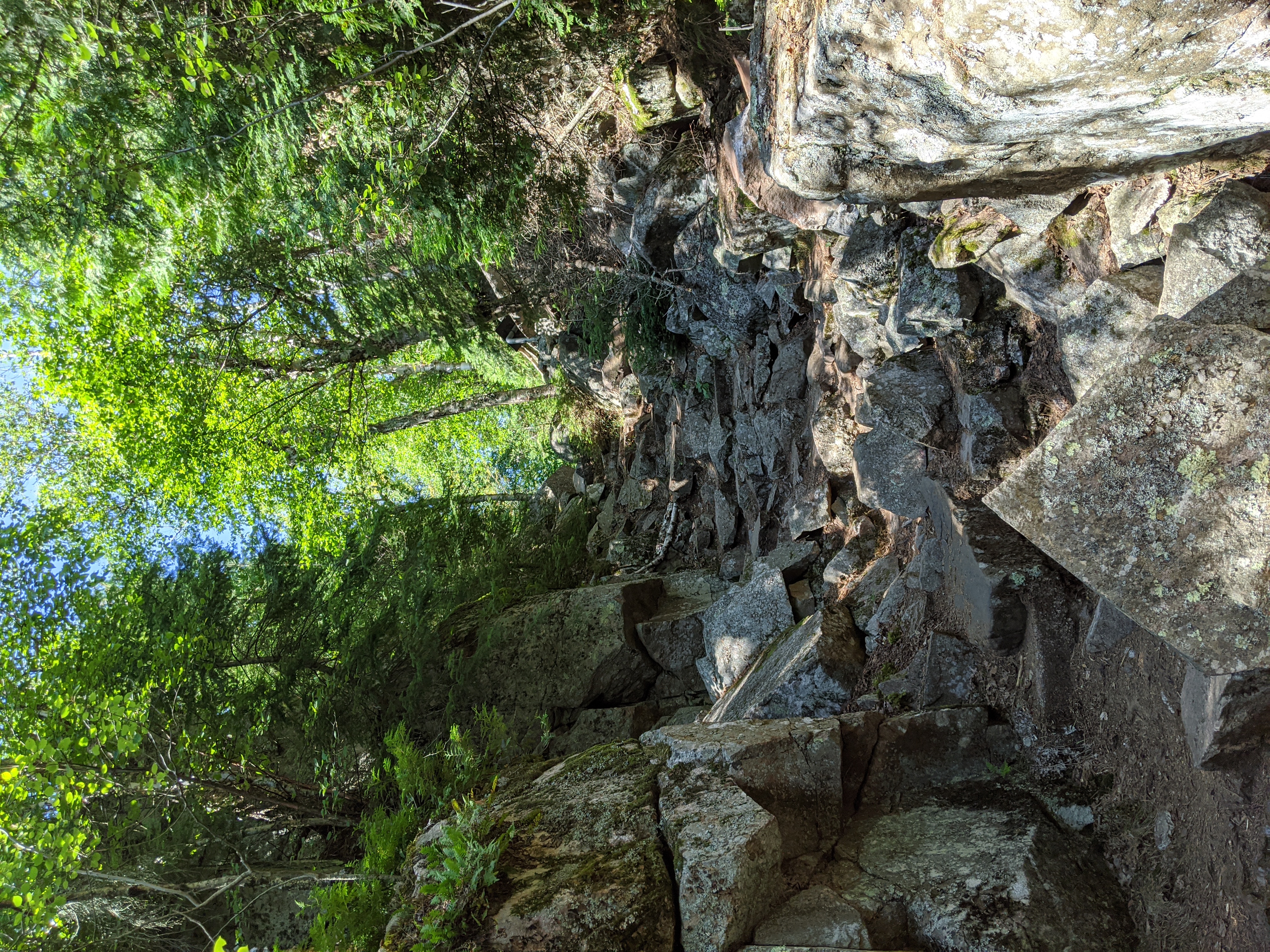 The Lookout Trail