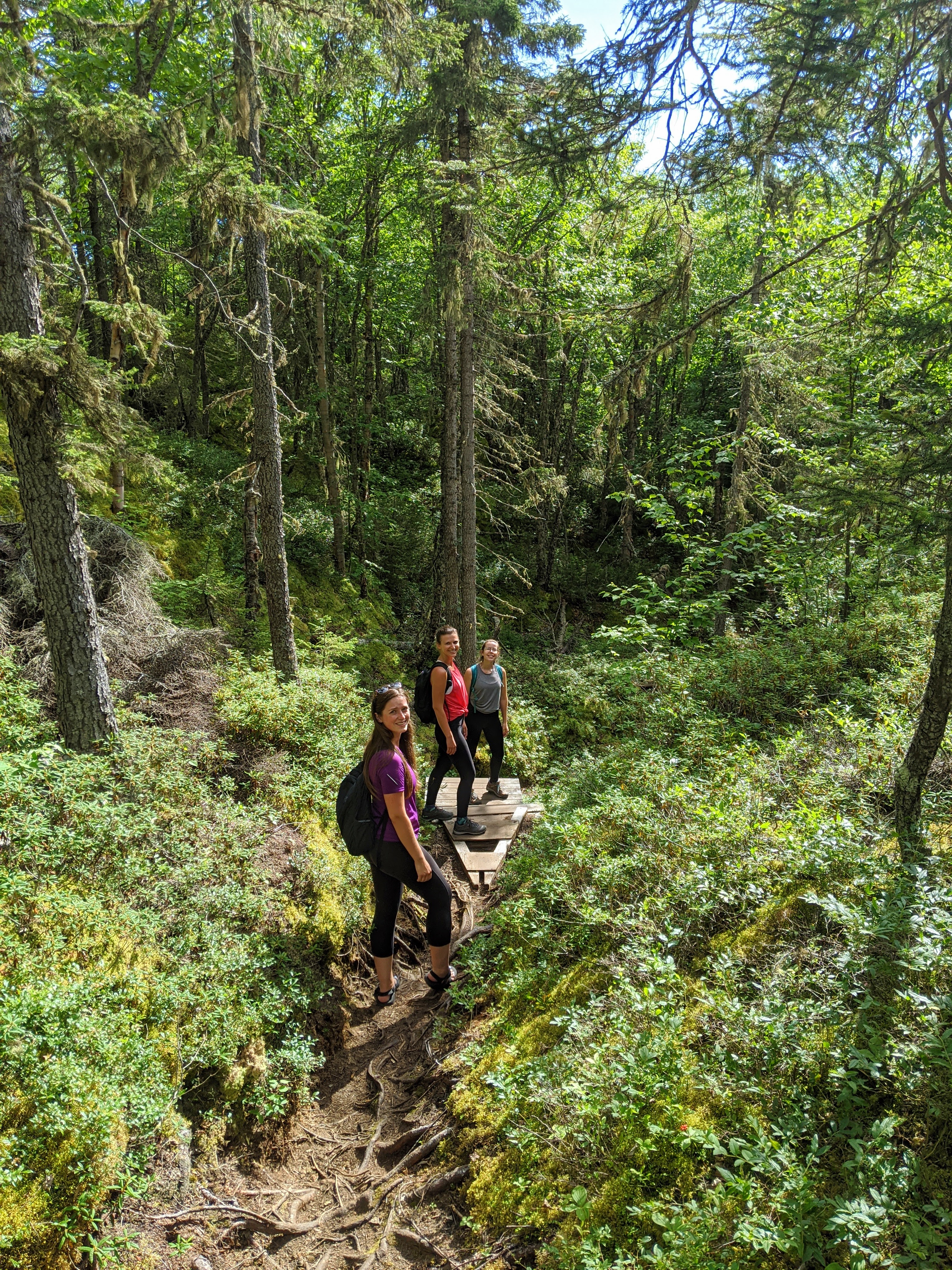 Thick forest trail