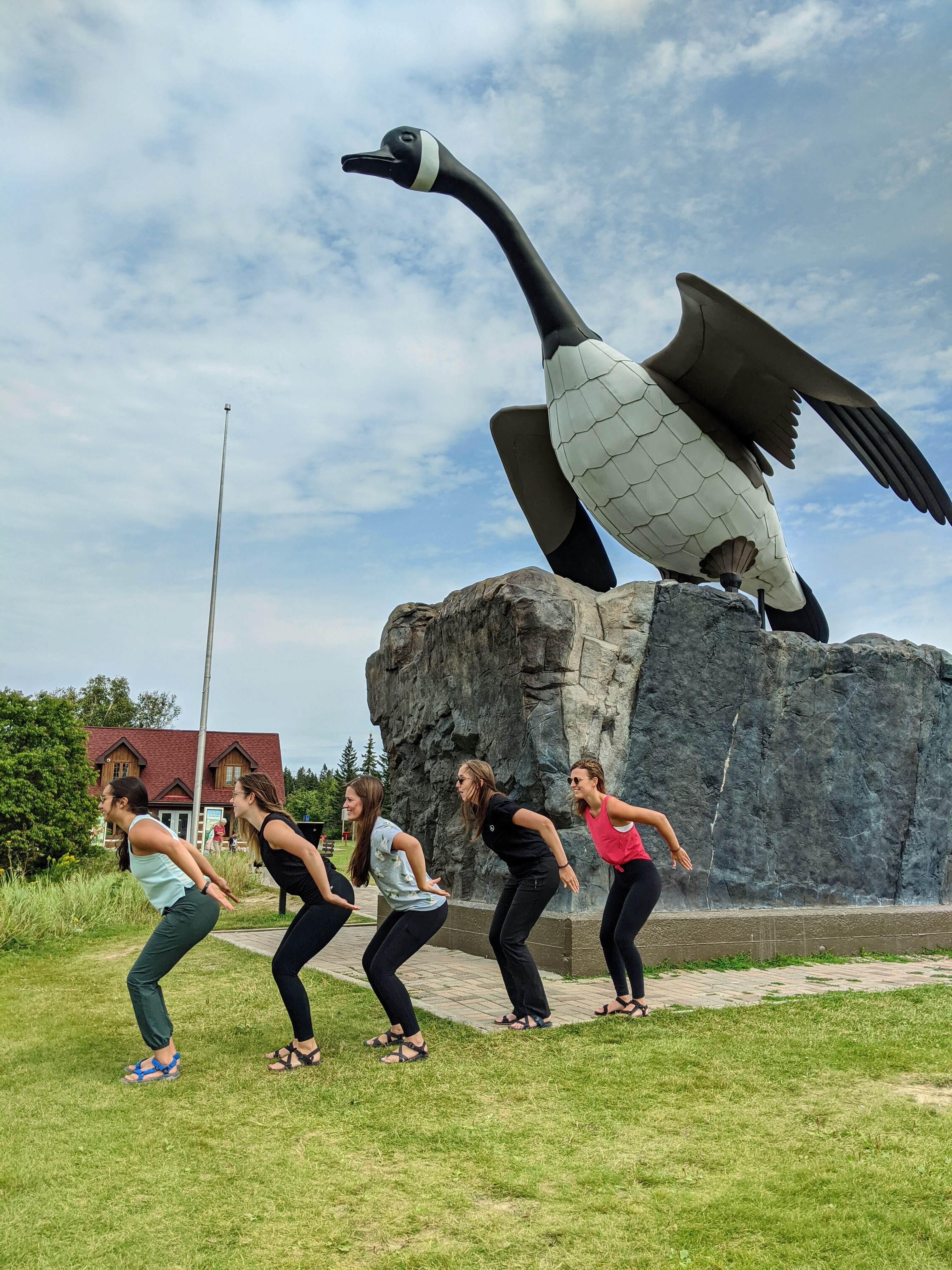 5 girls posing like the Wawa goose